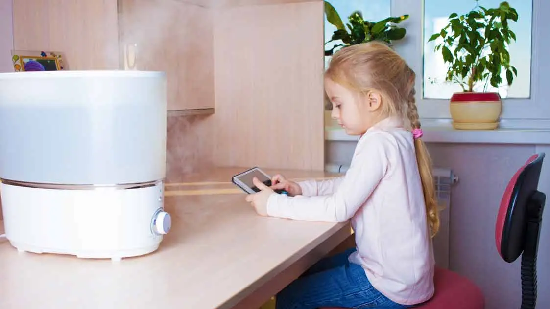 Luftbefeuchter Pflanzen 2025